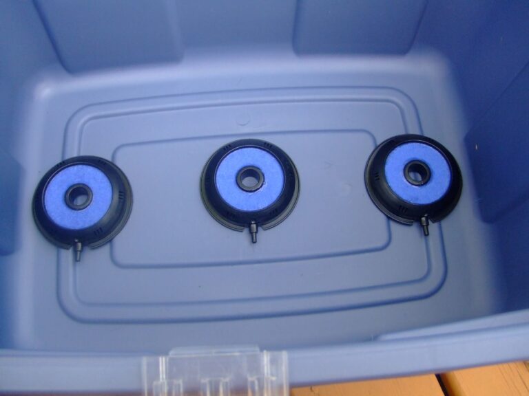Three round air stones on the bottom of an empty deep water culture tote