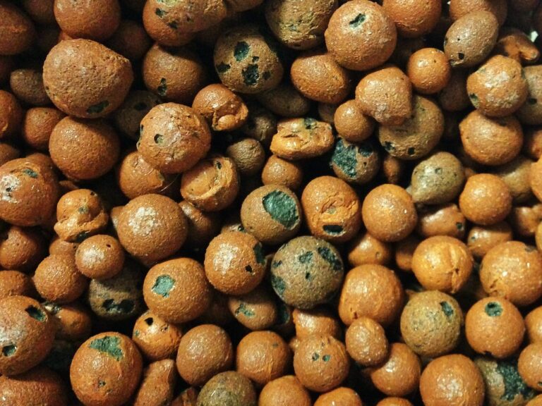 Expanded clay pebbles used as ebb and flow growing media