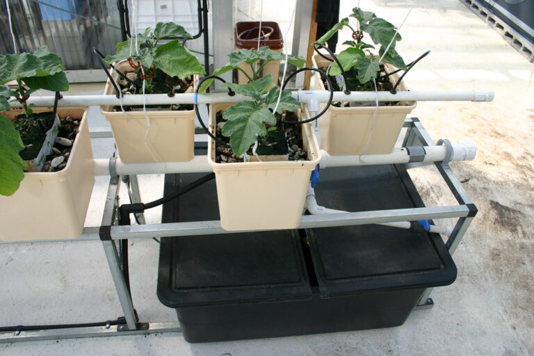 Media-filled pots above a shared hydroponic reservoir with return plumbing