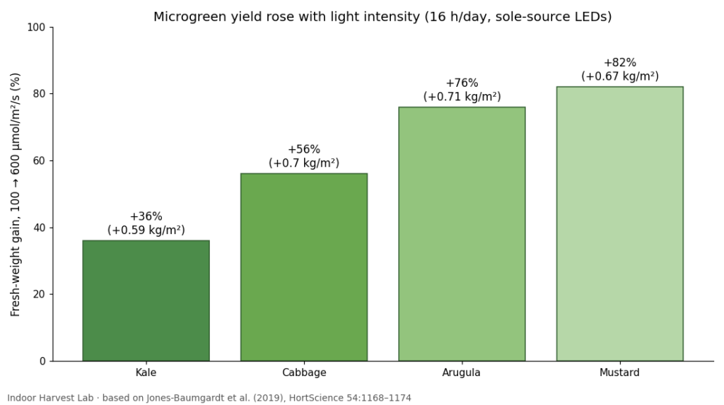 Bar chart of microgreens fresh weight gain from 100 to 600 µmol/m²/s in kale, cabbage, arugula and mustard