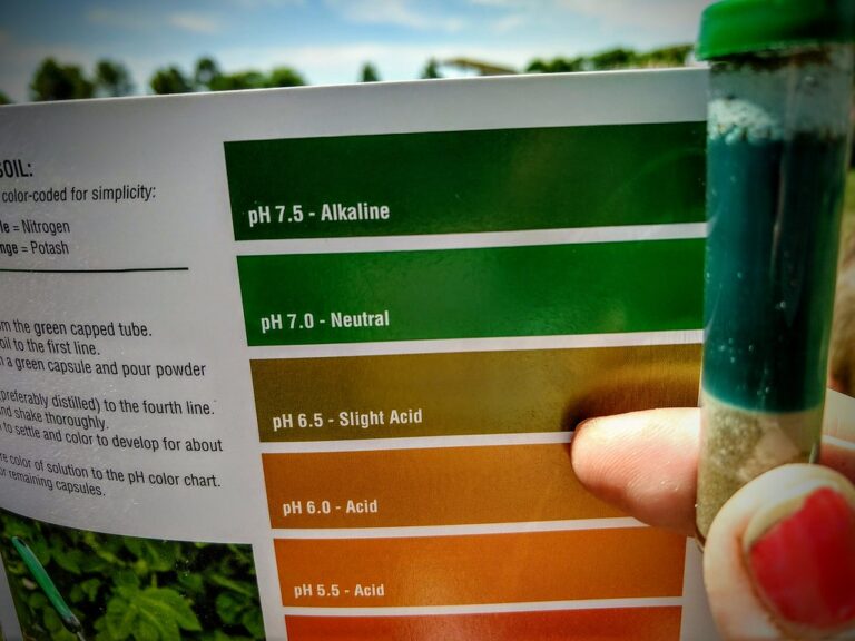 Colour pH test tube held against a chart marked in half-unit steps from 5.5 to 7.5