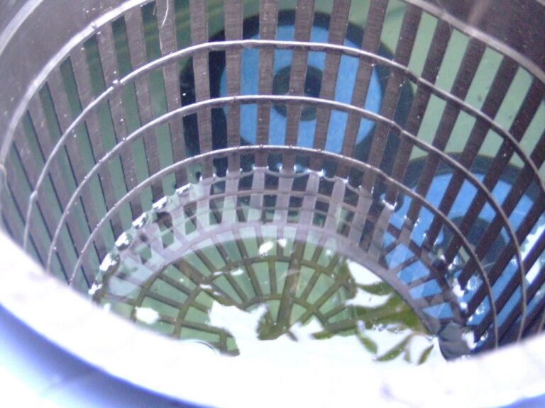 Home hydroponic tub filled with nutrient solution below a net basket