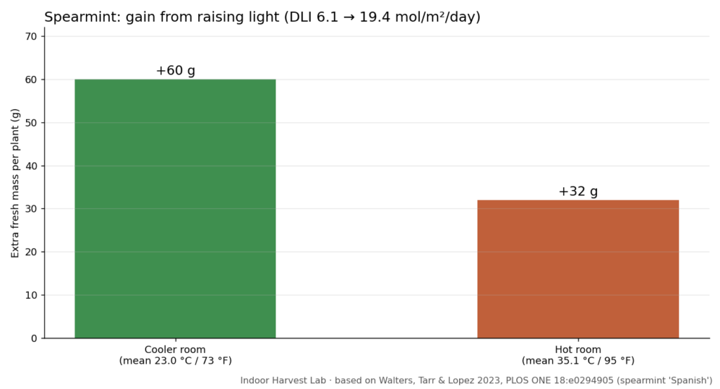 Chart: spearmint gained 60 g from more light at 23 C but only 32 g at 35 C, relevant to mint indoors